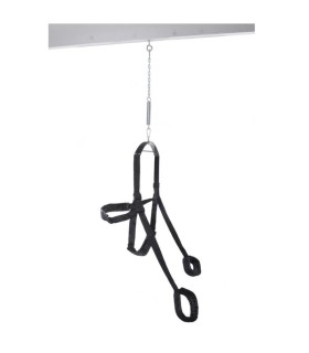 FETISH FANTASY SERIES BLACK FANTASY SWING SEX SWING