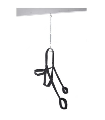 FETISH FANTASY SERIES BLACK FANTASY SWING SEX SWING