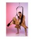 FETISH FANTASY SERIES BLACK FANTASY SWING SEX SWING