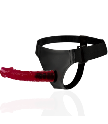 HARNESS ATTRACTION ARNES BRANT 19 CM O 4 CM