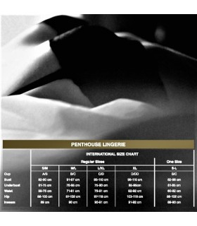 PENTHOUSE SCANDALOUS TEDDY BLANCO XL