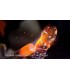 ICICLES N 75 GLASS DILDO