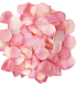 DIABLO PICANTE 100 PINK PETALS