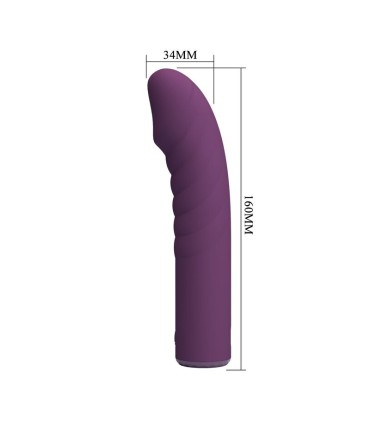 PRETTY LOVE RYLAND RECHARGEABLE VIBRATOR 10 FUNCTIONS PURPLE