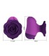 PRETTY LOVE RECHARGEABLE CLITORAL STIMULATOR 7 MODES PURPLE