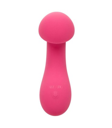 CALEXOTICS PIXIES EXCITER ROSA