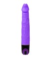 BAILE - VIBRATOR MULTISPEED 21.5 CM MORADO