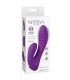 FANTASY FOR HER SECRET LOVER DOUBLE SPOT VIBRATOR GY CLITORIS RECHARGEABLE PURPLE