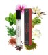 EYE OF LOVE EOL PHEROMONE PARFUM 10 ML ROMANTIC