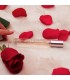 EYE OF LOVE EOL PHEROMONE PARFUM 10 ML AFTER DARK