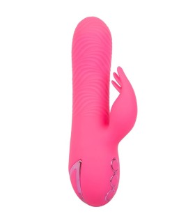 CALEXOTICS SACRAMENTO SWEETIE VIBRADOR RABBIT ROSA BY CALIFORNIA DREAMING