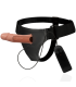 HARNESS ATTRACTION ARNES HUECO GREGORY CON VIBRADOR 165 CM O 43 CM