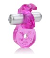 CALEXOTICS - MICRO VIBE AROUSER BUNNY ANILLO VIBRADOR ROSA