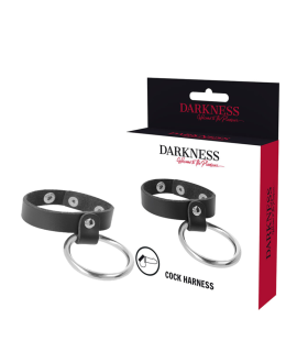 DARKNESS ANILLO DE METAL PARA EL PENE Y TESTICULOS