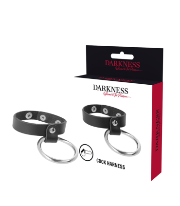 DARKNESS ANILLO DE METAL PARA EL PENE Y TESTICULOS