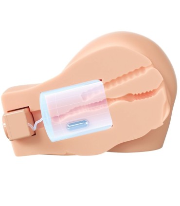 PDX ELITE BACK THAT ASS UP MASTURBADOR VAGINA Y ANO REALISTICO CON VIBRACION