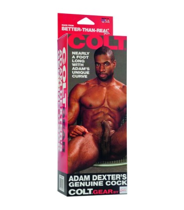 CALEXOTICS COLT PENE REALISTICO ADAM DEXTER