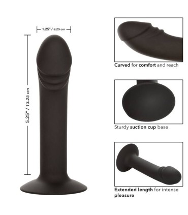 CALEXOTICS CURVED ANAL STUD