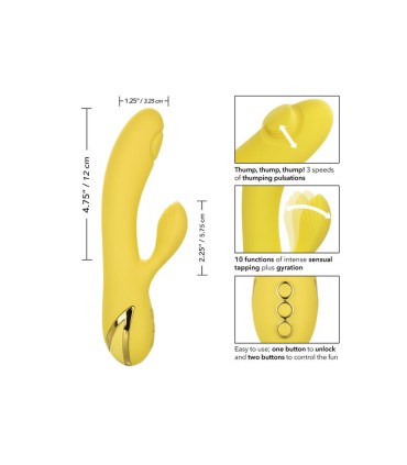 CALEXOTICS SAN DIEGO SEDUCTION