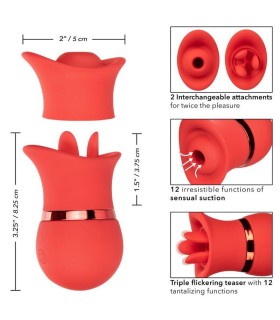 CALEXOTICS FRENCH KISS SUCK PLAY SET