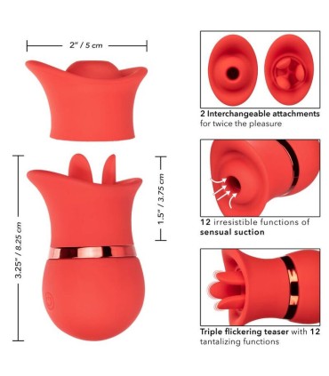 CALEXOTICS FRENCH KISS SUCK PLAY SET