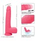 CALEXOTICS STUDS VIBRADOR REALISTICO 10 VIBRACIONES Y ROSA
