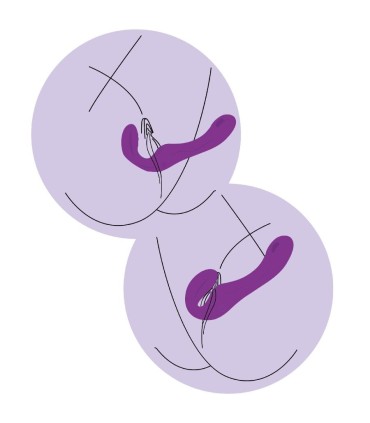 XOCOON STRAPLESS STRAP ON VIBRADOR 2 EN 1 CON CONTROL REMOTO MORADO