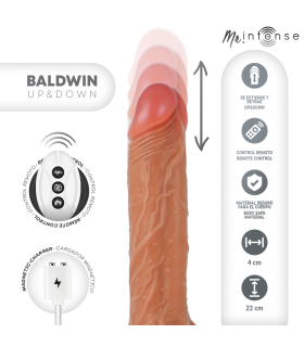 MR INTENSE BALDWIN REALISTICO MULTIFUNCION CON VIBRACION UP AND DOWN CONTROL REMOTO 22 CM O 4 CM
