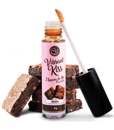 SECRETPLAY LIP GLOSS VIBRANT KISS BROWNIE
