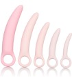 CALEXOTICS - INSPIRE KIT DILATADOR VAGINAL SILICONA 5 PCS