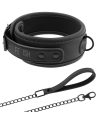 FETISH SUBMISSIVE - COLLAR CON CADENA CON FORRO DE NEOPRENO