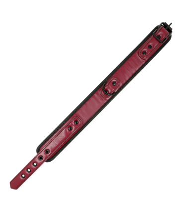 FETISH SUBMISSIVE DARK ROOM COLLAR CON CADENA CON FORRO DE NEOPRENO