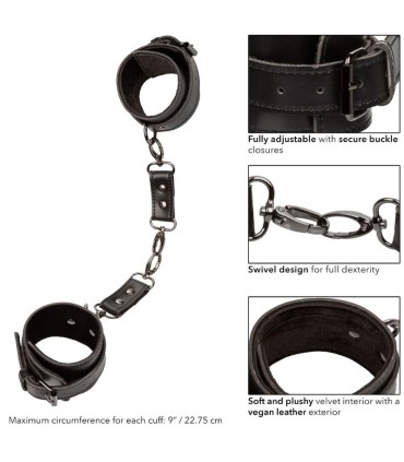 CALEXOTICS EUPHORIA ESPOSAS