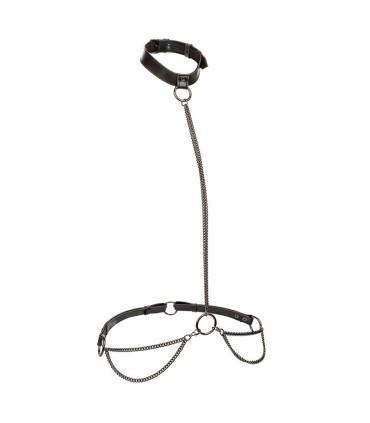 CALEXOTICS EUPHORIA COLLAR HALTER Y CORREA CON CADENA