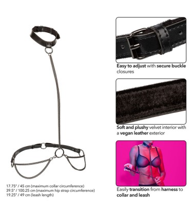 CALEXOTICS EUPHORIA COLLAR HALTER Y CORREA CON CADENA