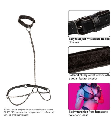 CALEXOTICS EUPHORIA COLLAR HALTER Y CORREA CON CADENA TALLA PLUS