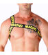 MACHO ARNES ROMANO AMARILLO S M