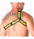 MACHO ARNES ROMANO AMARILLO S M