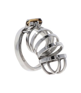 HIDDEN DESIRE EXTREME JAULA DE CASTIDAD METAL