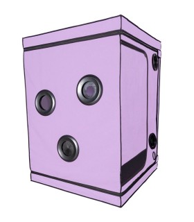 SECRET DOME KINK CLUB CABINA SCANDALE MORADO