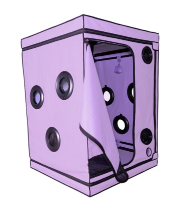 SECRET DOME KINK CLUB CABINA SCANDALE MORADO