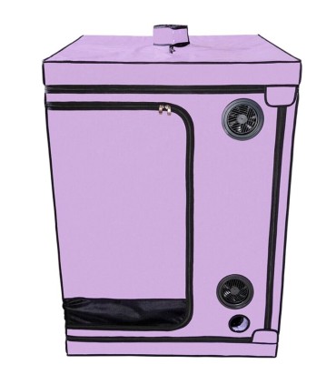 SECRET DOME KINK CLUB CABINA SCANDALE MORADO