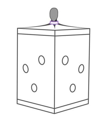 SECRET DOME KINK CLUB CABINA SCANDALE MORADO