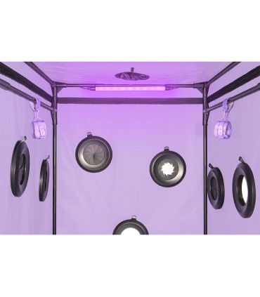 SECRET DOME KINK CLUB CABINA SCANDALE MORADO