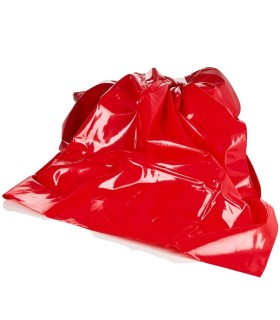 CALEXOTICS SCANDAL SABANA ROJA 203 M