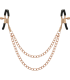 COQUETTE CHIC DESIRE FANTASY PINZAS METALICAS PEZONES CON CADENA