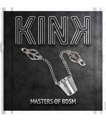 KINK PINZAS PARA PEZONES CON CUBO PLATEADO