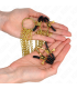 KINK PINZAS PARA PEZONES Y CLITORIS 4 ENGANCHES AJUSTABLE DORADO