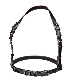 CALEXOTICS EUPHORIA ARNES HATLER CON HEBILLA TALLA GRANDE NEGRO