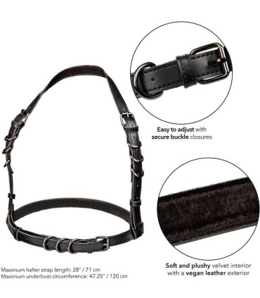 CALEXOTICS EUPHORIA ARNES HATLER CON HEBILLA TALLA GRANDE NEGRO